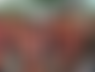 Jamaica's Exhilarating Carnival Week: 2019 Recap