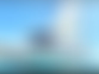 BE A VIP FOR THE DAY