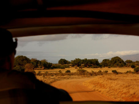 Chasing Shadows: Total Solar Eclipse, February 1980, Kenya
