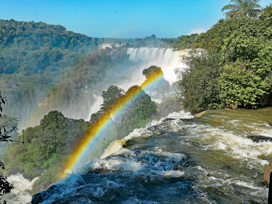 THE ARGENTINE ESSENCE & WELLNESS