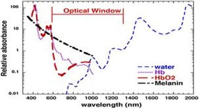 Physiology of LASER
