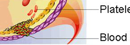 BLOOD CLOTTING
