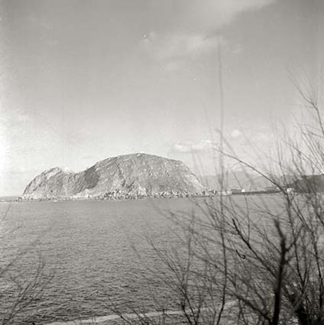 45.RatónR.jpg