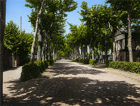 20D.Alameda.Marin.IAR.jpg