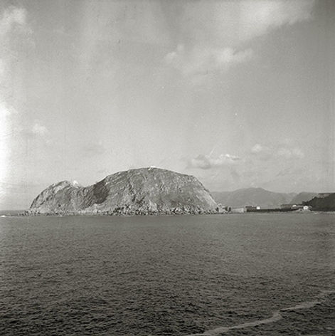 46.RatónR.jpg