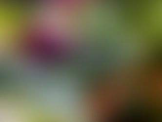 Die richtige Balance