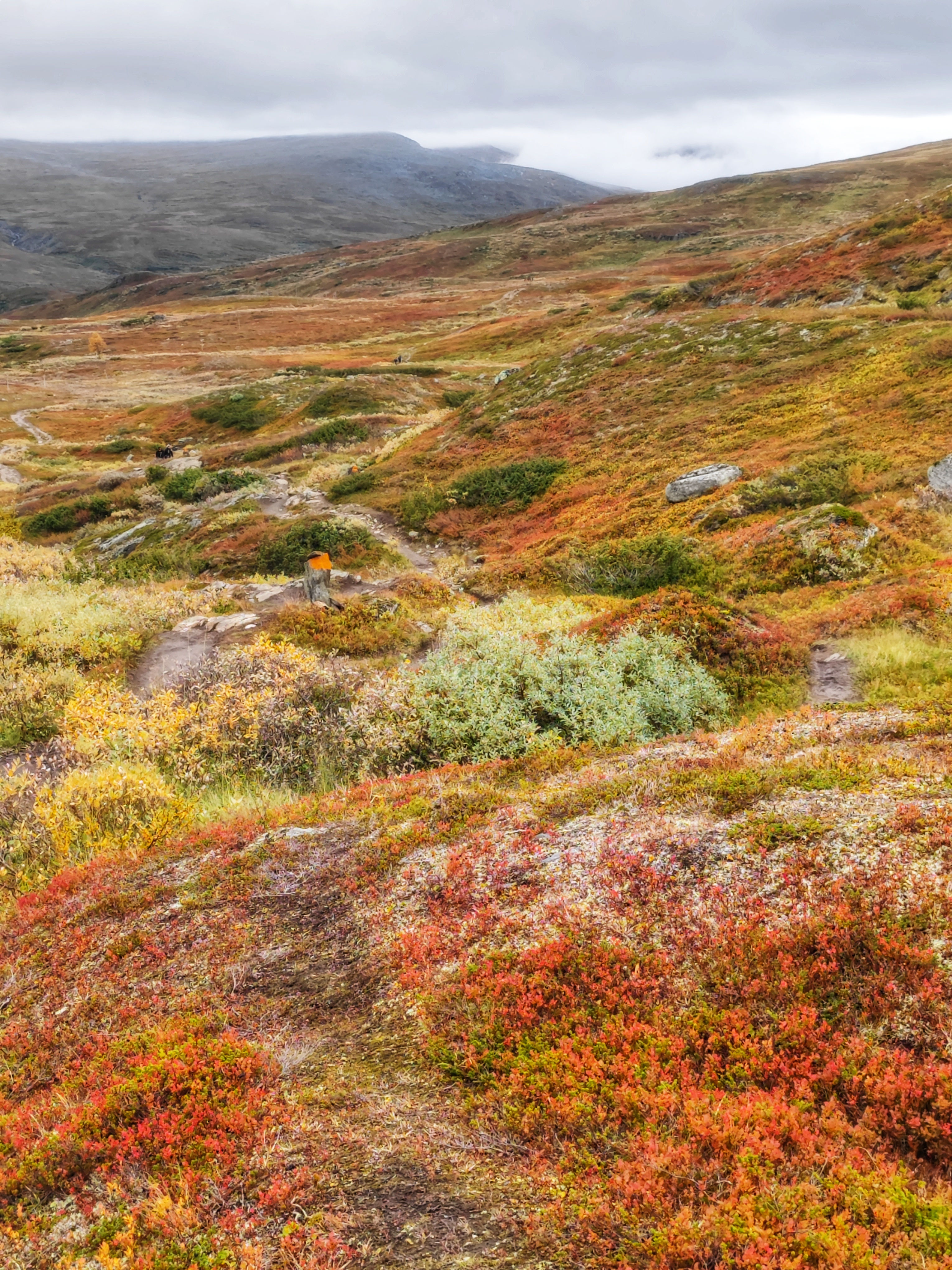 Kungsleden Fall 1