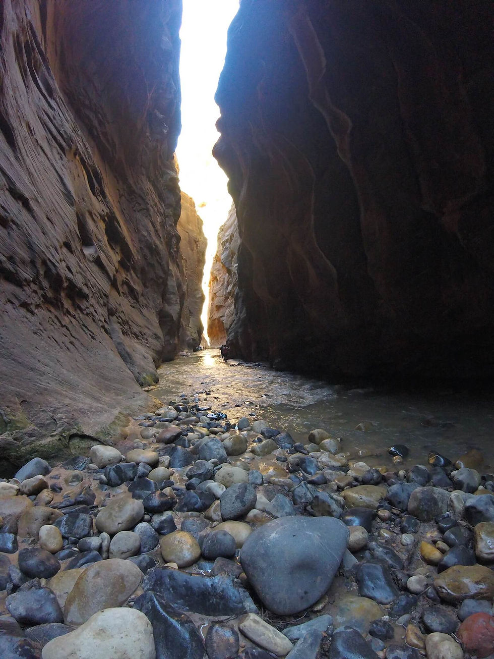 The Narrows Zion National Park