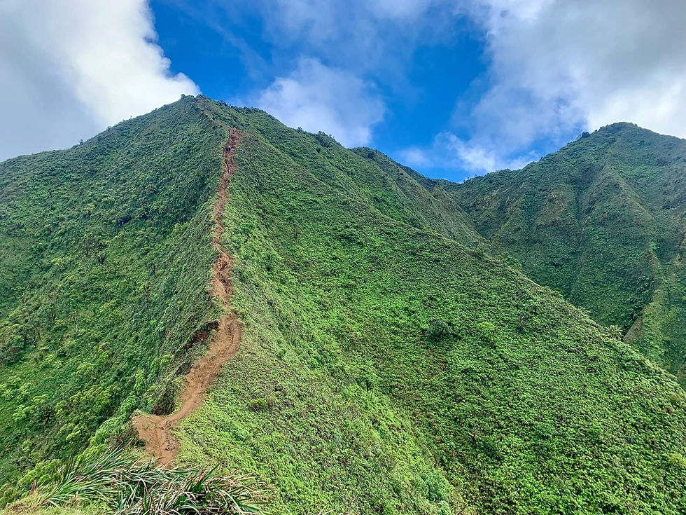 Moanalua Valley Trail on Oahu
