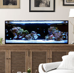 Fusion Pro 40L  Gallon AIO Aquarium Midsize front.jpg