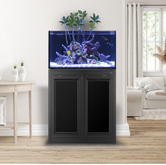 EXT 50 Gallon Lagoon Aquarium_APS Stand_1.jpg