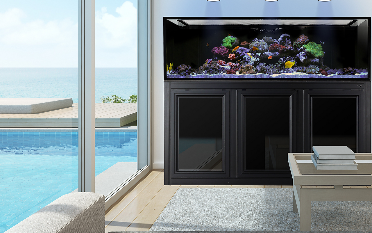 200 gallon INT aquarium with black metal aps stand