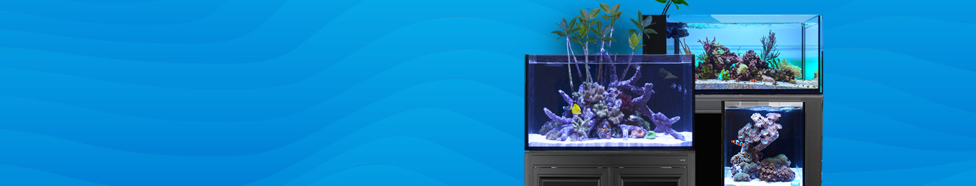 innovative marine aquarium innovative marine aquarium
