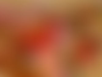 おせちのご予約承ります