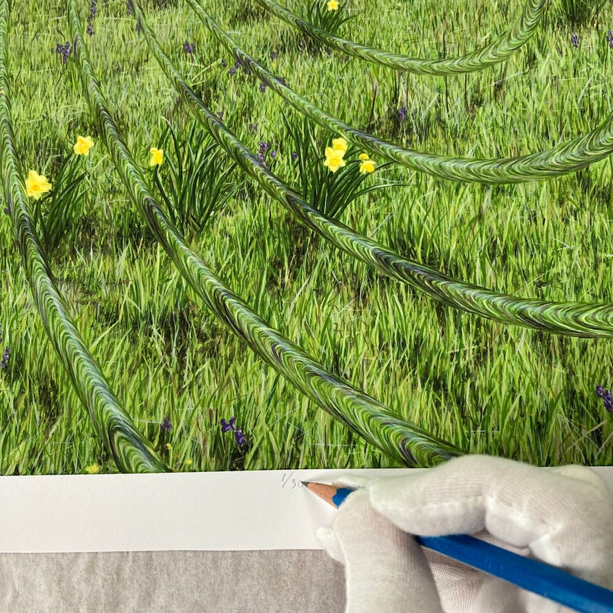 Signing limited edition of Surreal print of lone tree in meadow. Altered realism.