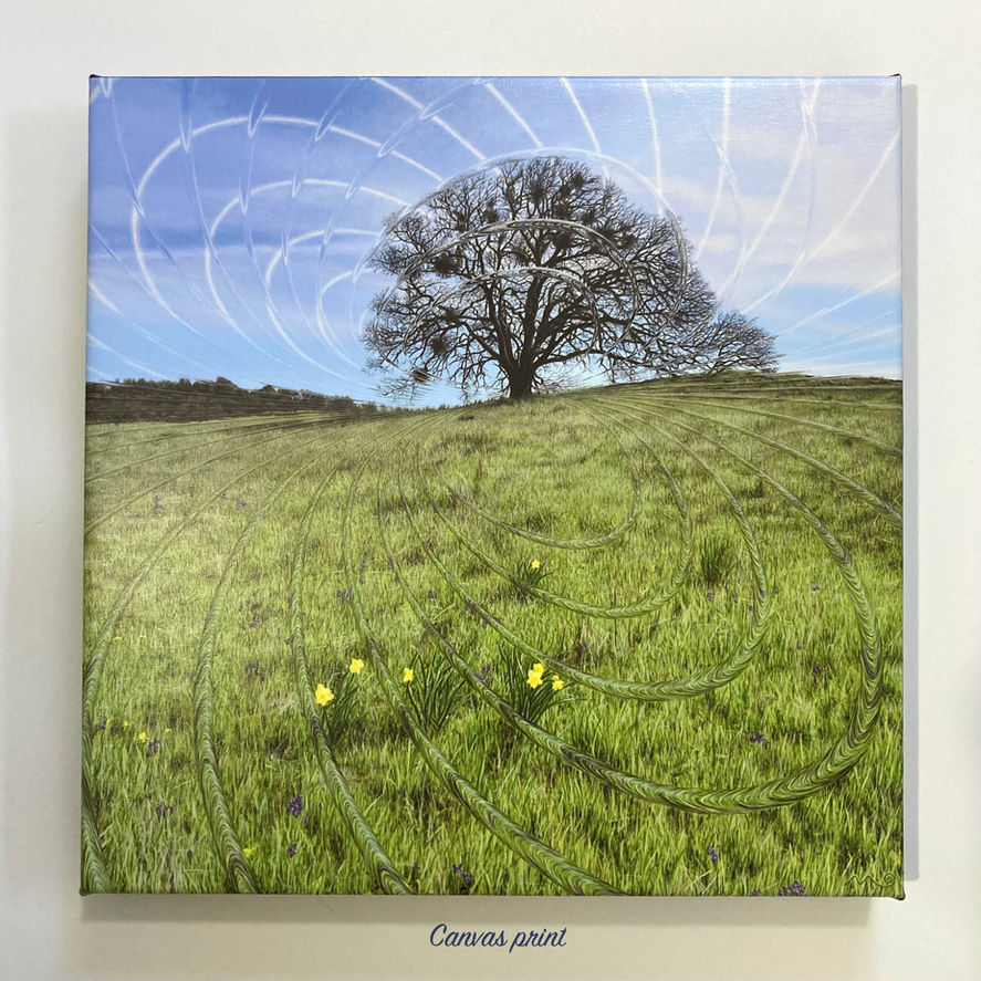 Surreal canvas print of lone tree in meadow. Altered realism.