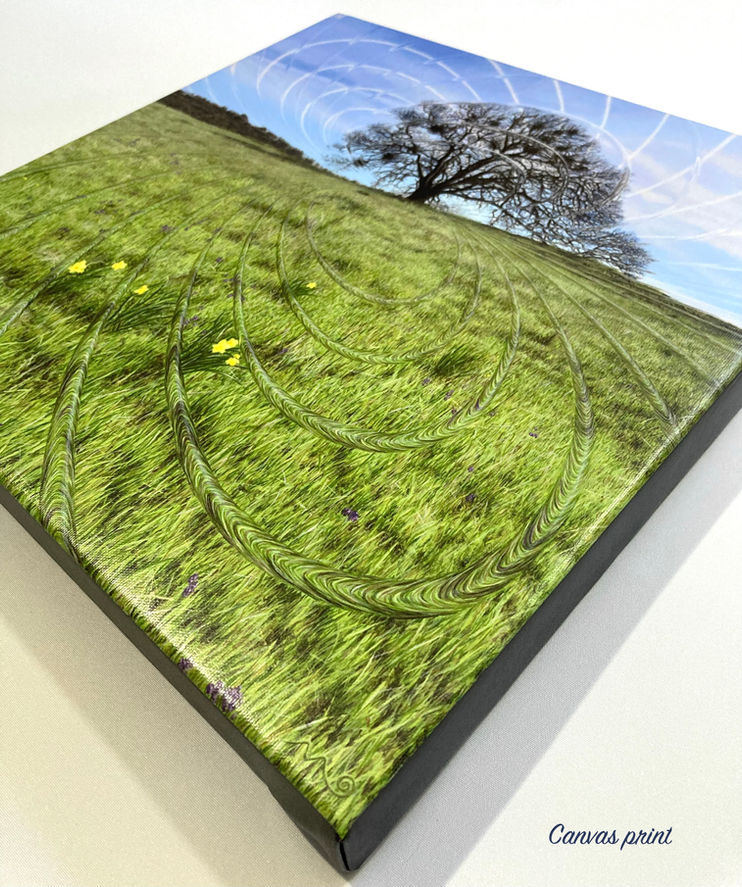 Detail of Surreal canvas print of lone tree in meadow. Altered realism.