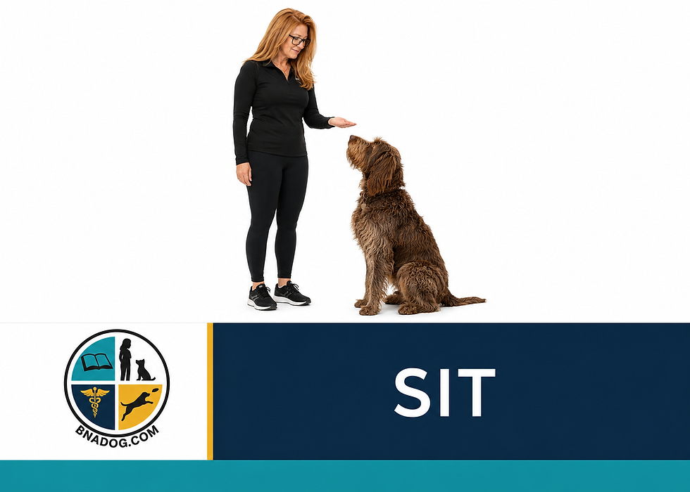 SIT