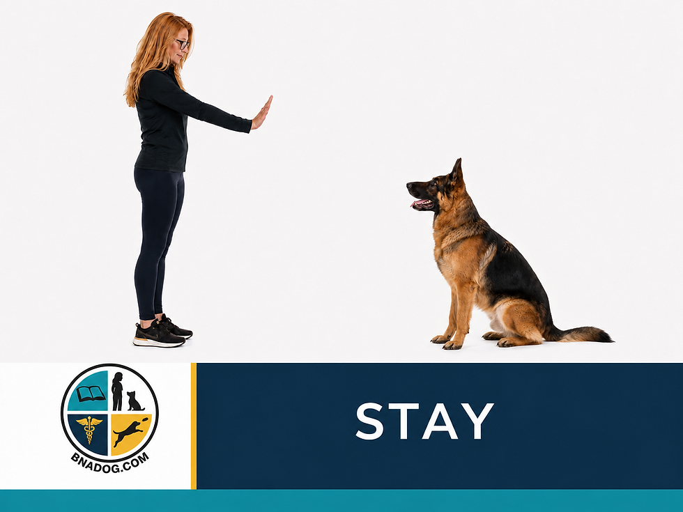STAY