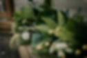 ferns.JPG