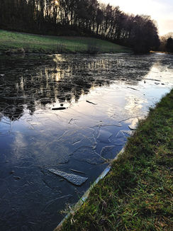 The Leeds and Liverpool Canal