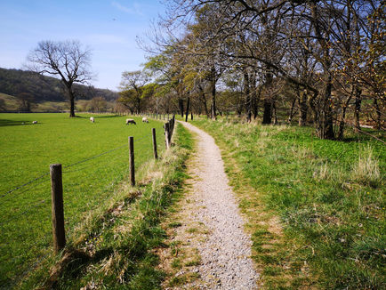 Walking in the UK