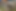 IMG_1609.png