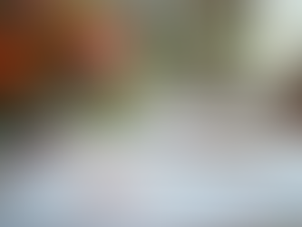 An Overview of Wedding Planning Packages