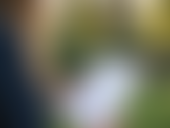 Expert Wedding Planning Assistance for Your Perfect Day