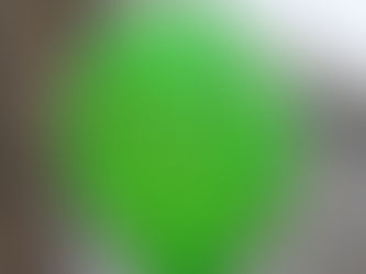 Grüne: Daniel Sieveke disqualifiziert sich selbst