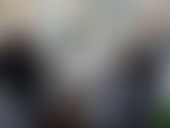 Im Leben einer Abgeordneten