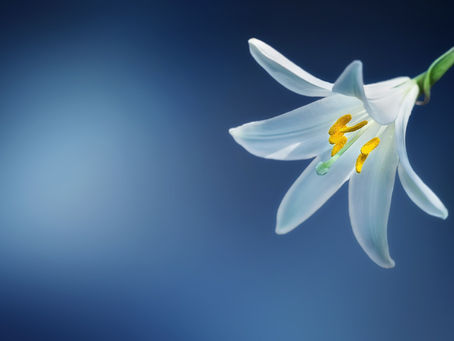 Creuzmann: Zusammenrücken, um unsere Grundwerte zu schützen! – Solidarität mit Opfern und Geflüchtet