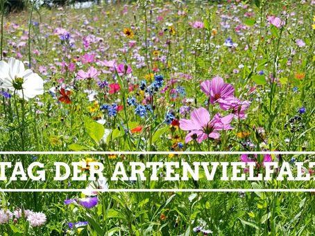 Tag der Artenvielfalt