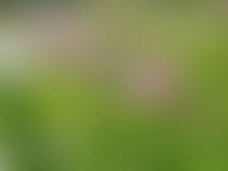 Tag des Artenschutzes