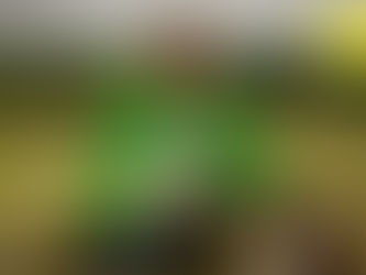 Kein „wenn“ mehr. Kein „aber“ mehr.