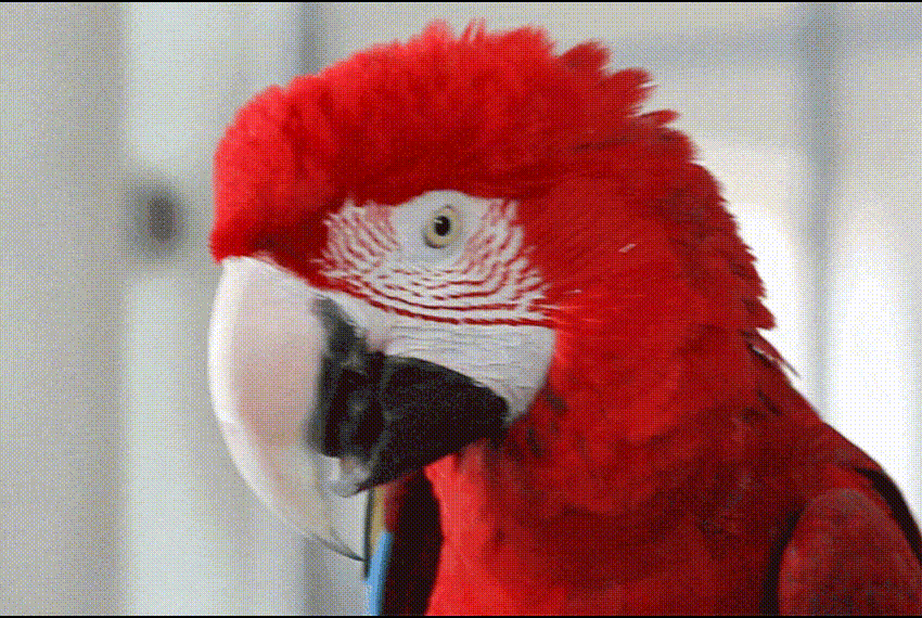 Teaserbild Wall Street English