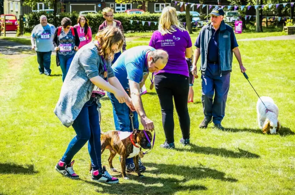 Two people crossing the finishing line at the lupus walk with a dog