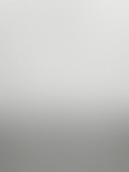 22 Feb 2026, Matthew 4:1-14, Sermon: Laying Down the ""The"—Finding Jesus in the Wilderness