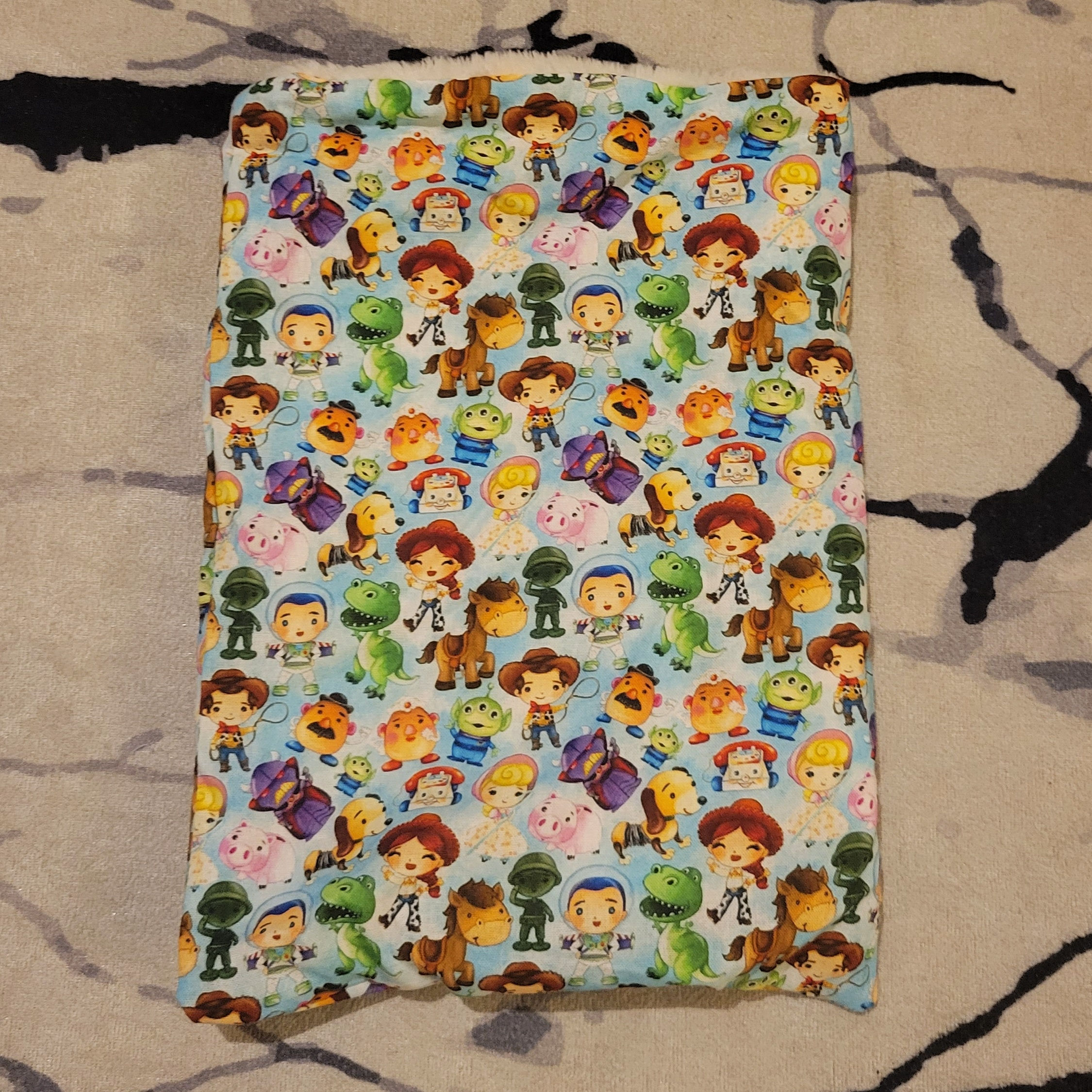 Pochette Toy Story.