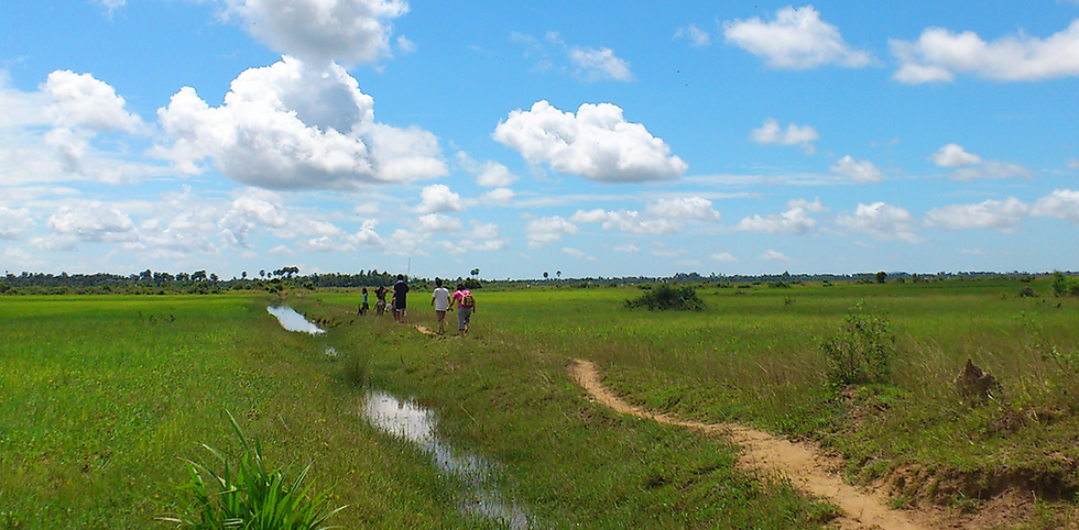 カンボジアとタイの国境紛争に関して
