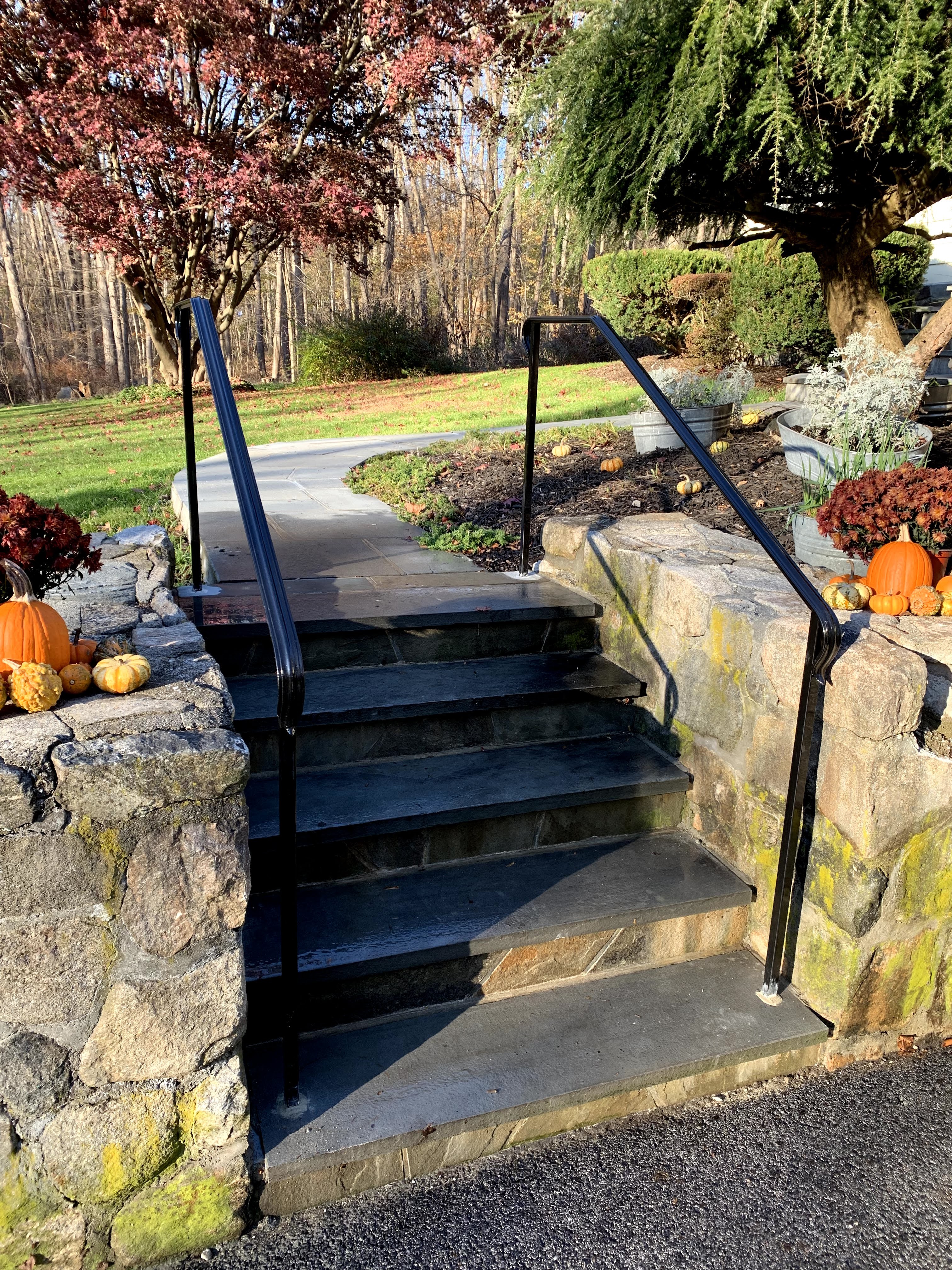 Handrail steps