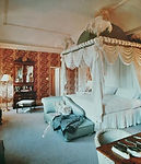 Domed canopy ostriche feathers