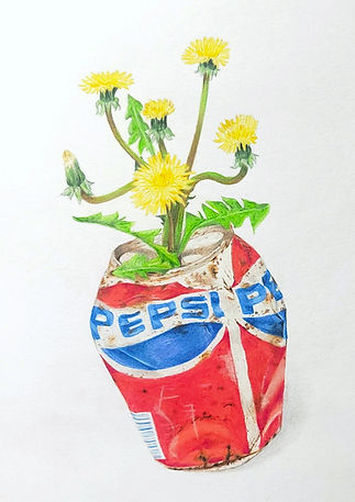 Löwenzahn in Dose zeichnung von Leonie Nowotsch