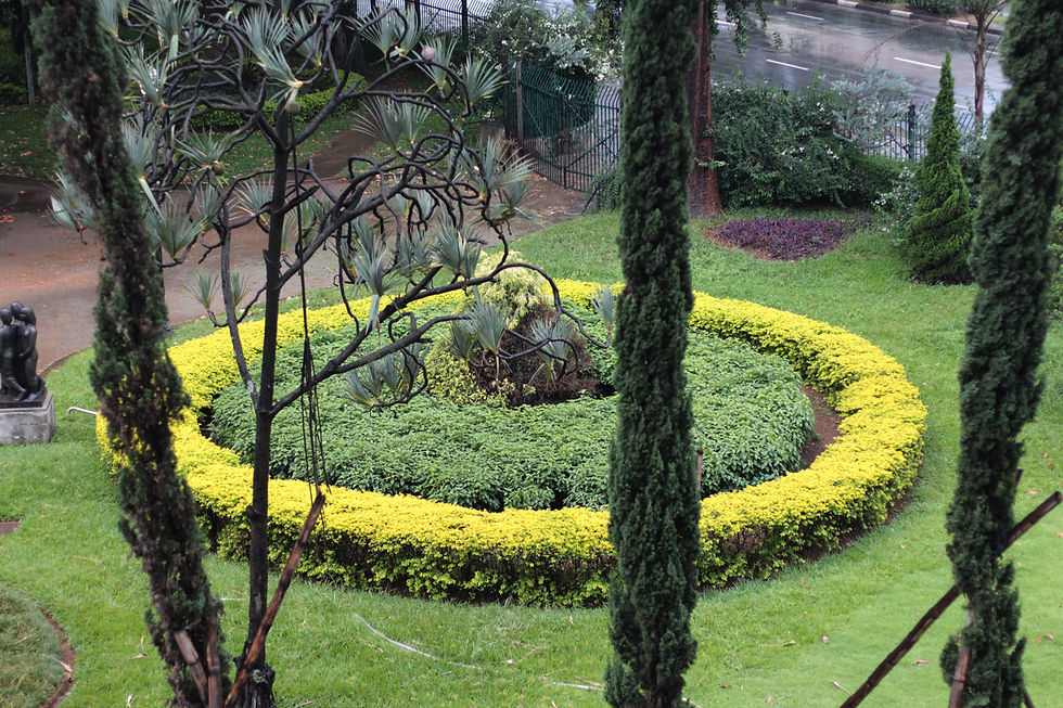 Jardim da Luz