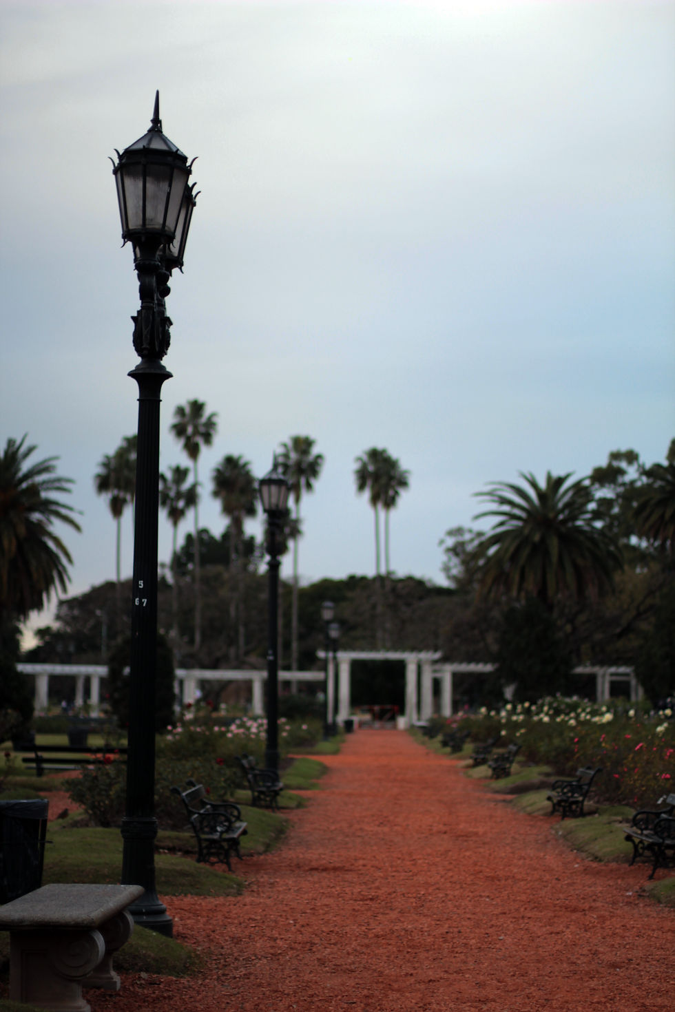 El Rosedal