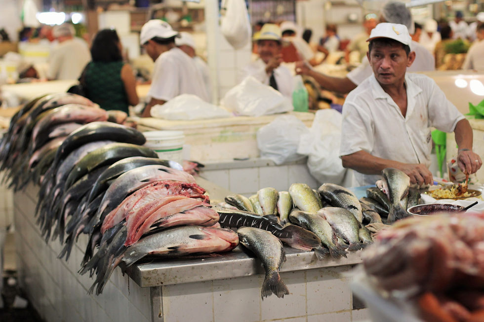 Mercado de Peixes