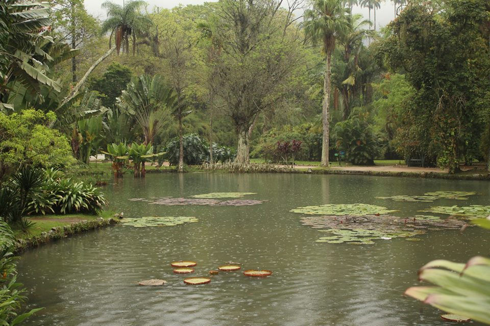 Jardim Botânico