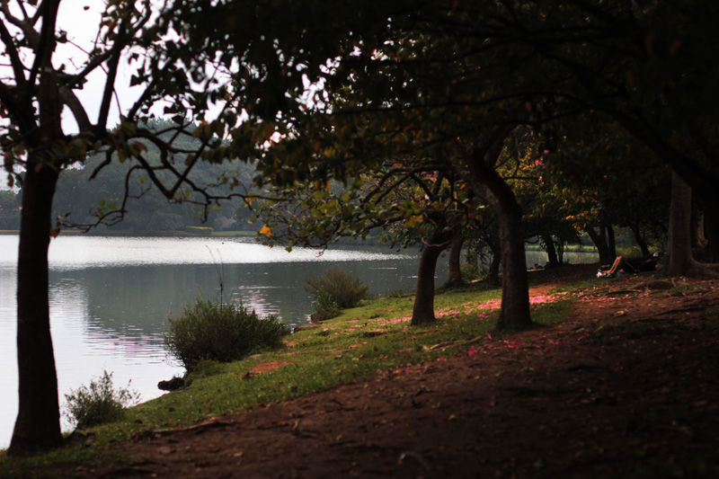Parque Ibirapuera