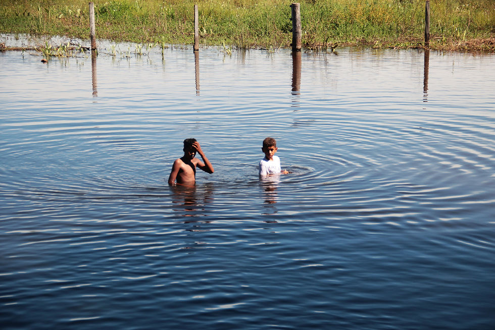 Pantanal
