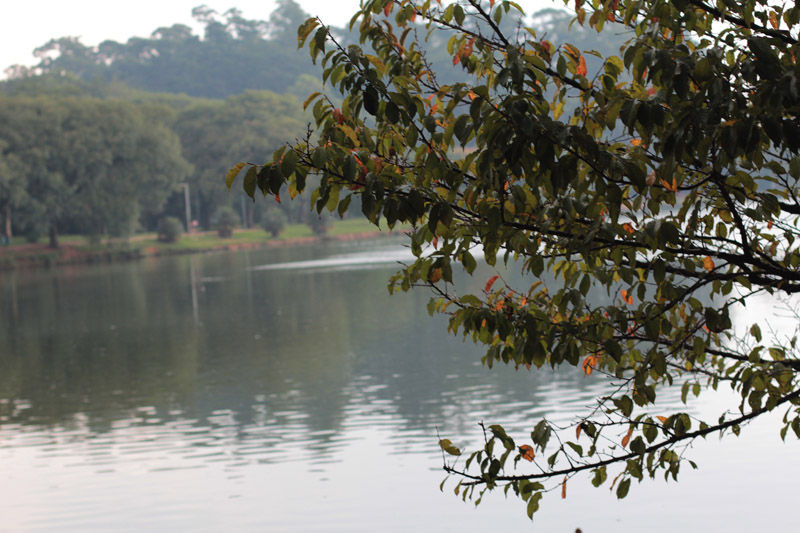 Parque Ibirapuera